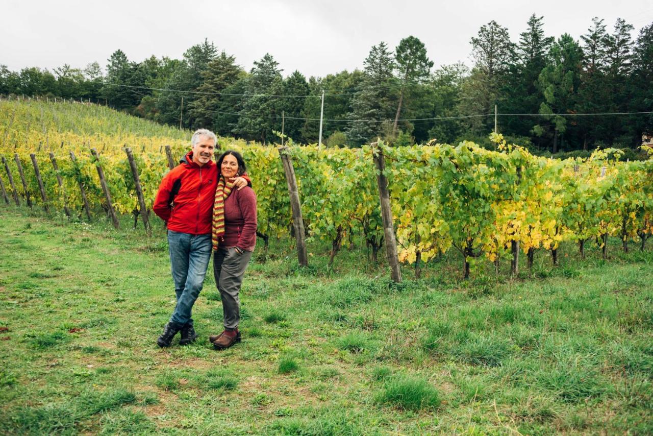 Podere Orto Wine Country House Trevinano 外观 照片