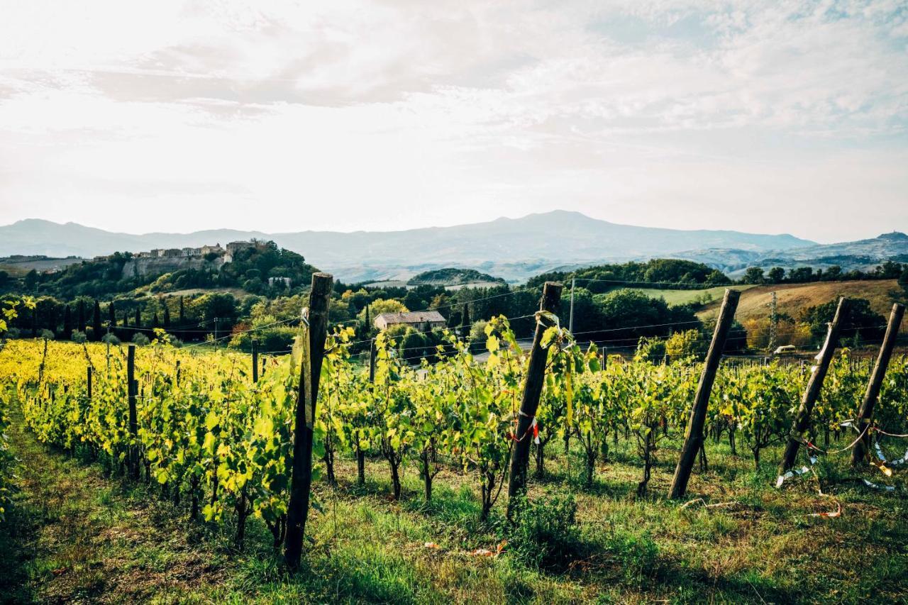 Podere Orto Wine Country House Trevinano 外观 照片