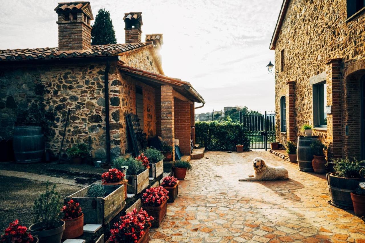 Podere Orto Wine Country House Trevinano 外观 照片