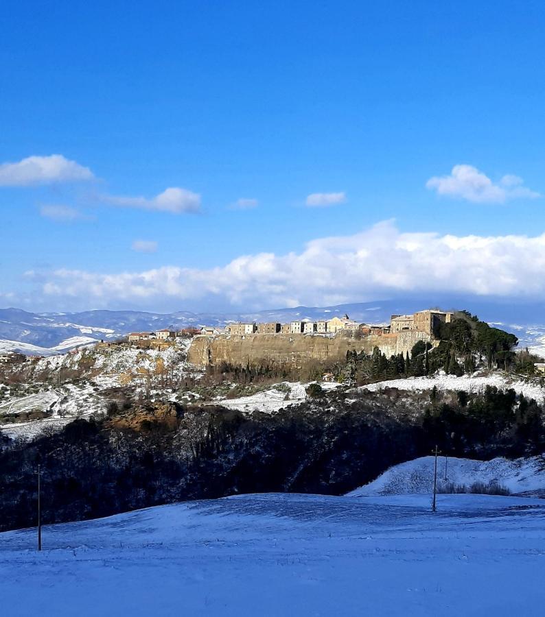 Podere Orto Wine Country House Trevinano 外观 照片