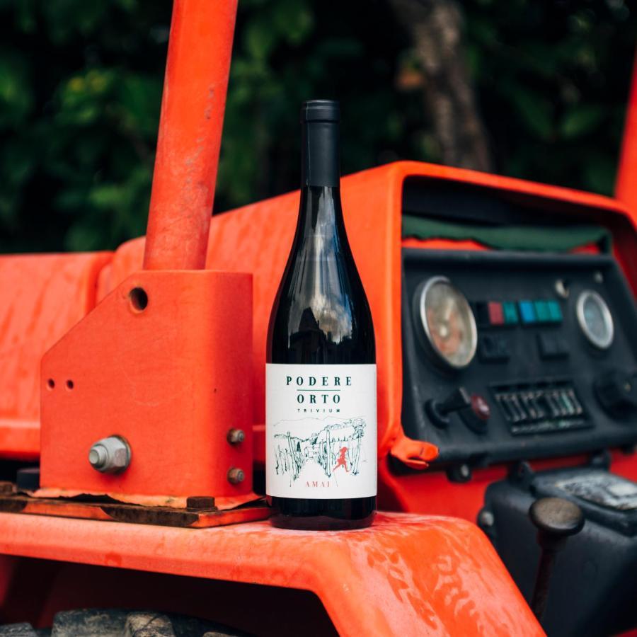 Podere Orto Wine Country House Trevinano 外观 照片