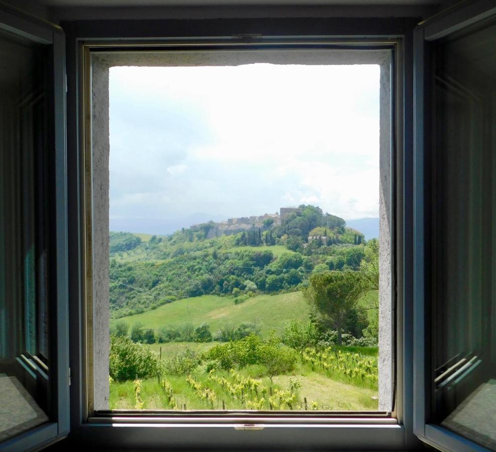 Podere Orto Wine Country House Trevinano 外观 照片