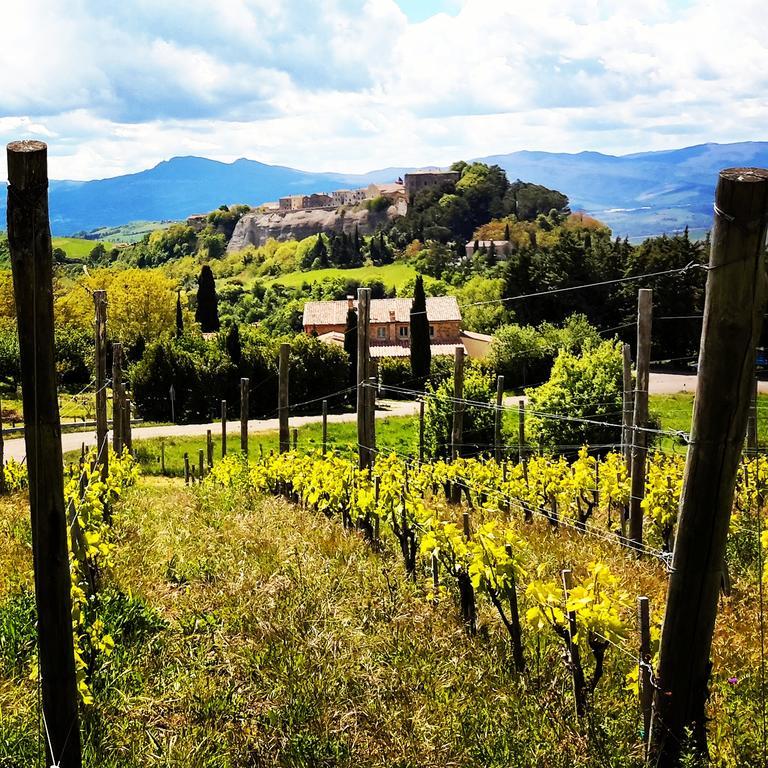 Podere Orto Wine Country House Trevinano 外观 照片