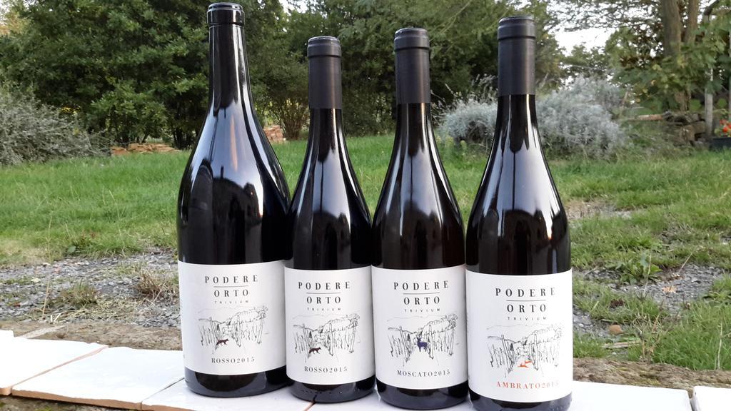 Podere Orto Wine Country House Trevinano 外观 照片
